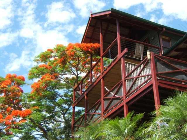 Bed and Breakfast Maleny Tropical Retreat Exterior foto