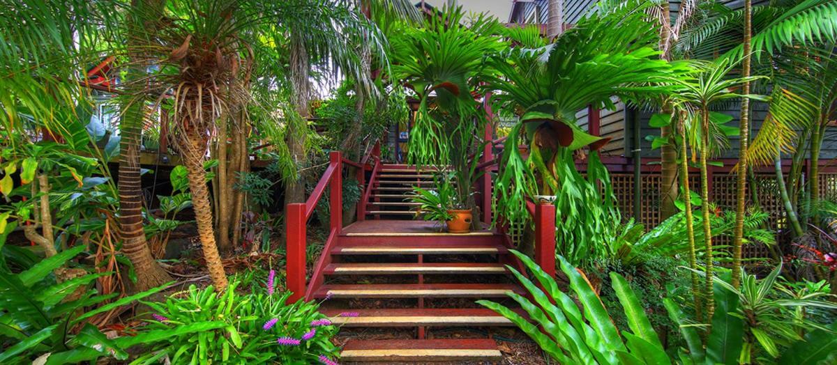 Bed and Breakfast Maleny Tropical Retreat Exterior foto