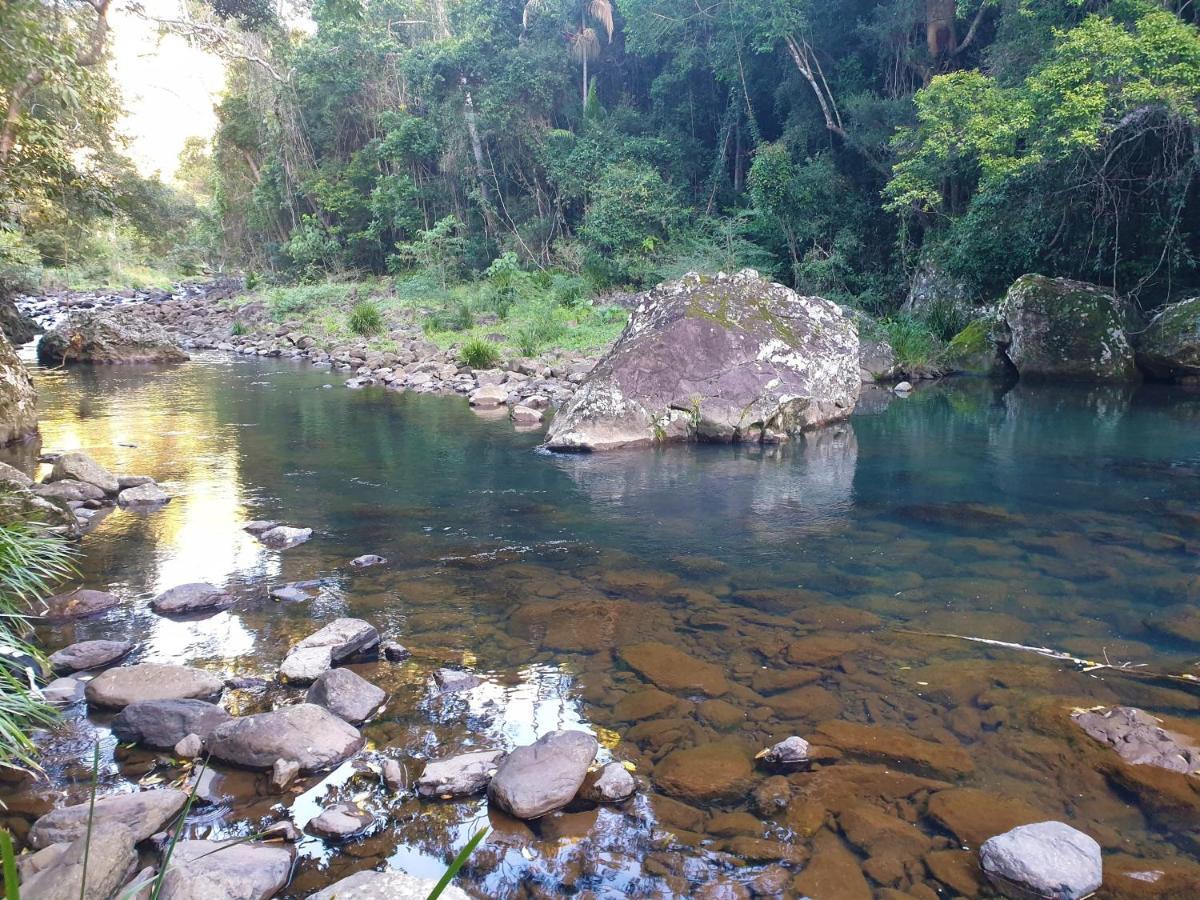 Bed and Breakfast Maleny Tropical Retreat Exterior foto
